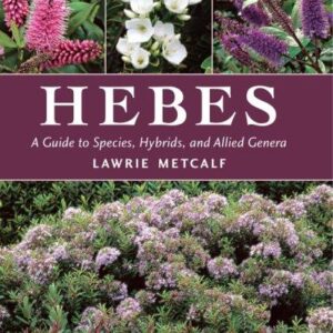 HEBES: A GUIDE TO SPECIES, HYBRIDS AND ALLIED GENERA